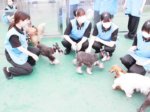 生徒とモデル犬が大好きなドッグラン♪